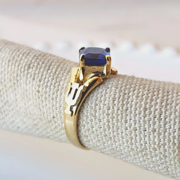 Anel de Formatura Betta Ouro 18K